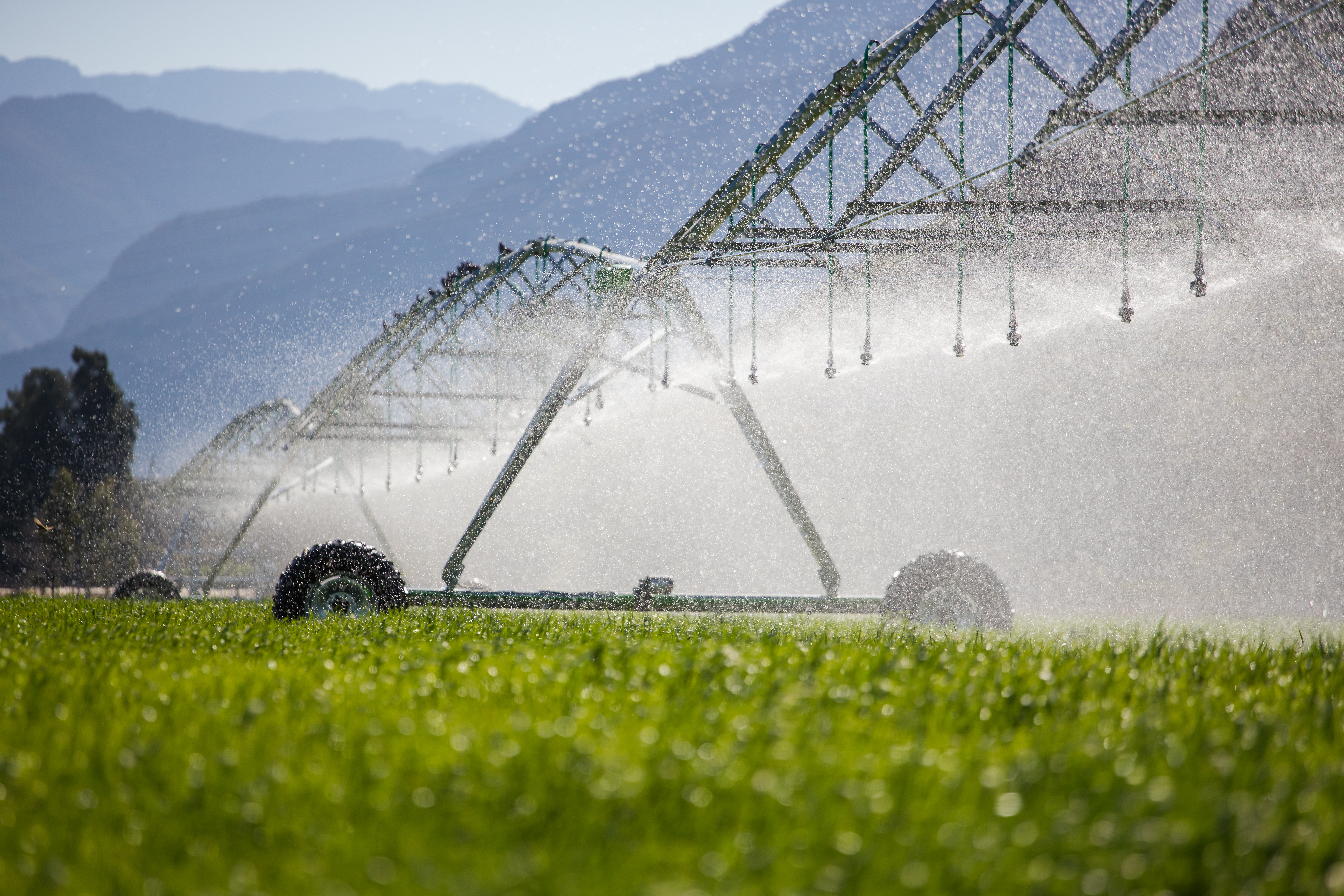 Weekly crop water usage